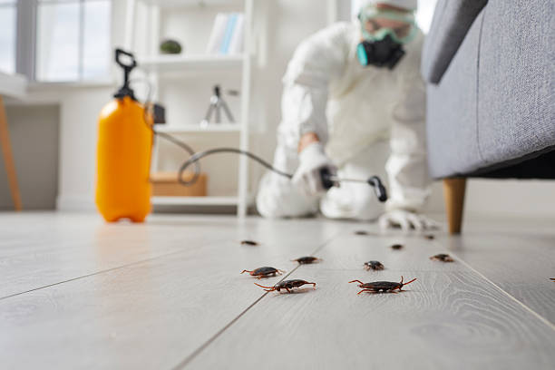 Trusted Cockroach Control service in Parkland, WA - Nex Pest Control