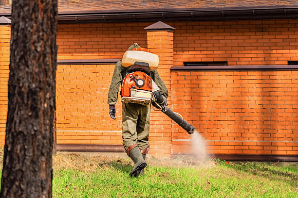 Trusted Mosquito Control service in Parkland, WA - Nex Pest Control